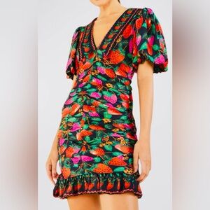 Farm Rio Lady Strawberry Ruched Print V-Neck Dress - Size XL - 🆕